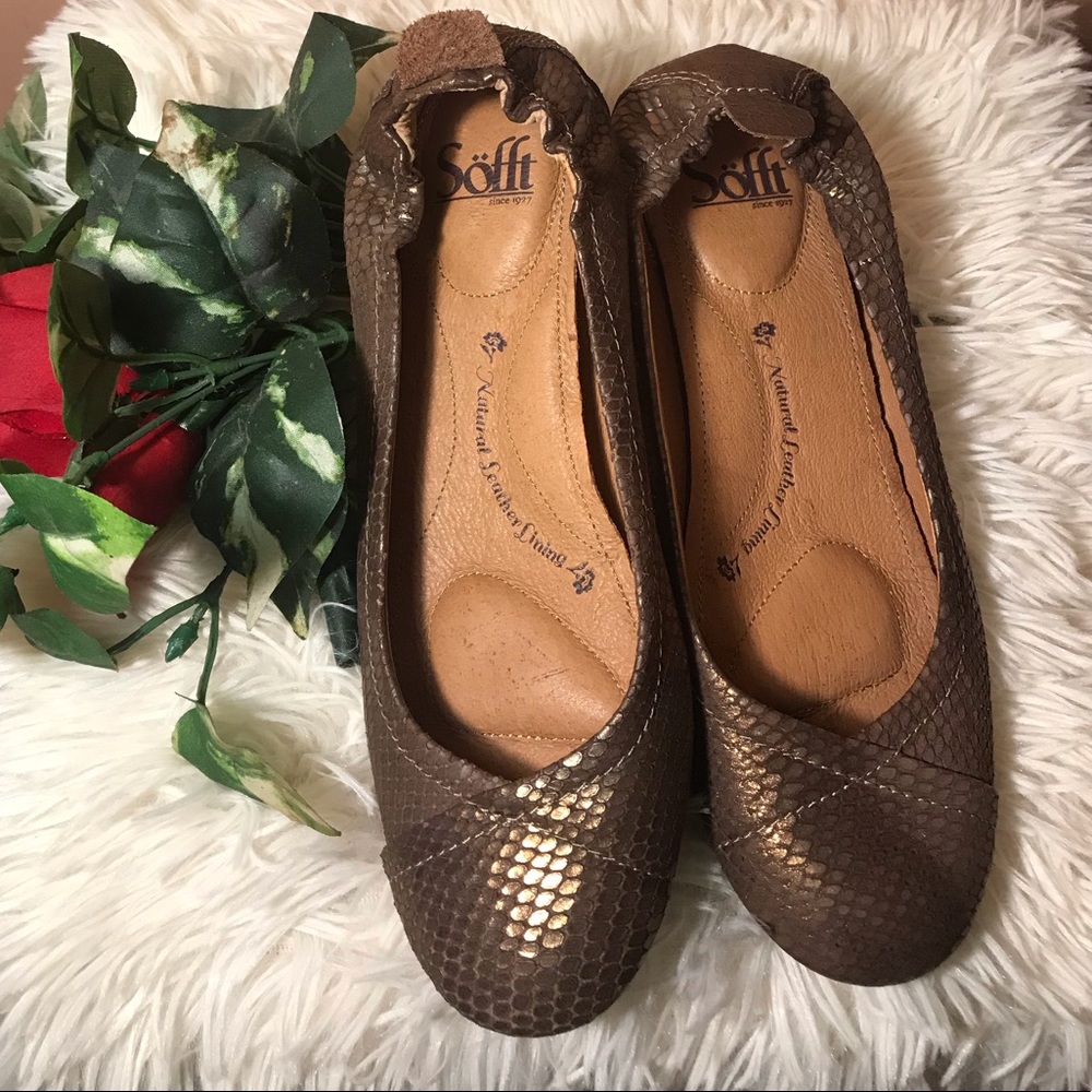 Sofft Shoe